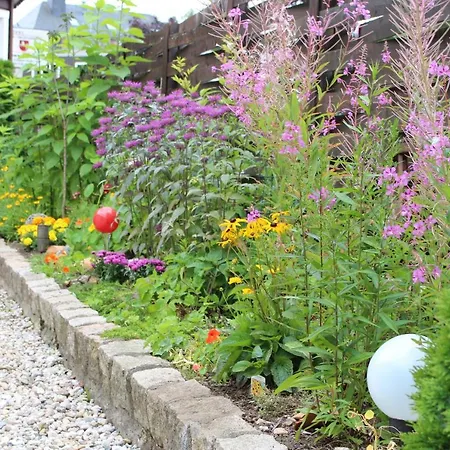 An Der Bode - 2 Zi Zentral Am Marktplatz Apartament *