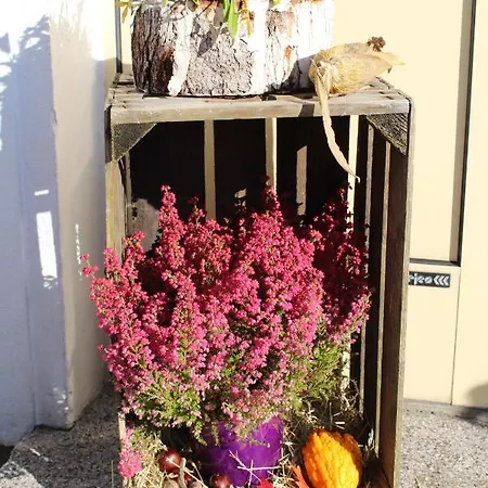 An Der Bode - 2 Zi Zentral Am Marktplatz Apartament *