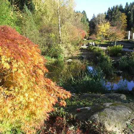 Apartament An Der Bode - 2 Zi Zentral Am Marktplatz Braunlage