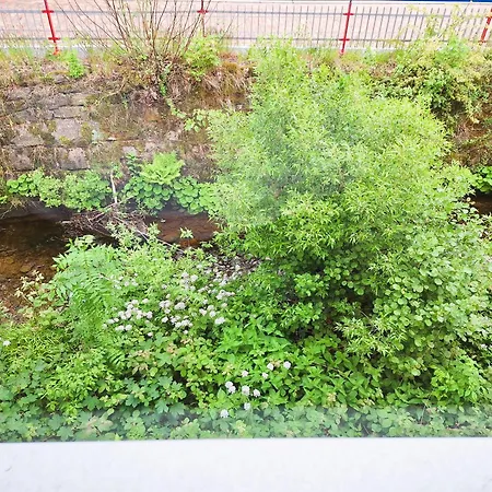 Apartament An Der Bode - 2 Zi Zentral Am Marktplatz Braunlage