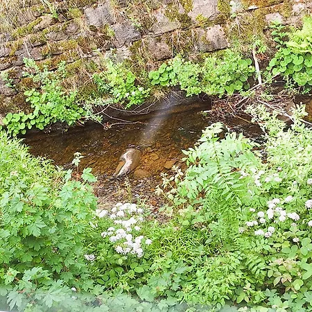 An Der Bode - 2 Zi Zentral Am Marktplatz