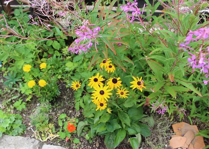 An Der Bode Appartement Braunlage