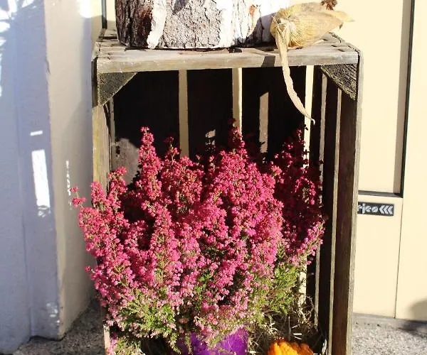 An Der Bode - 2 Zi Zentral Am Marktplatz アパート *