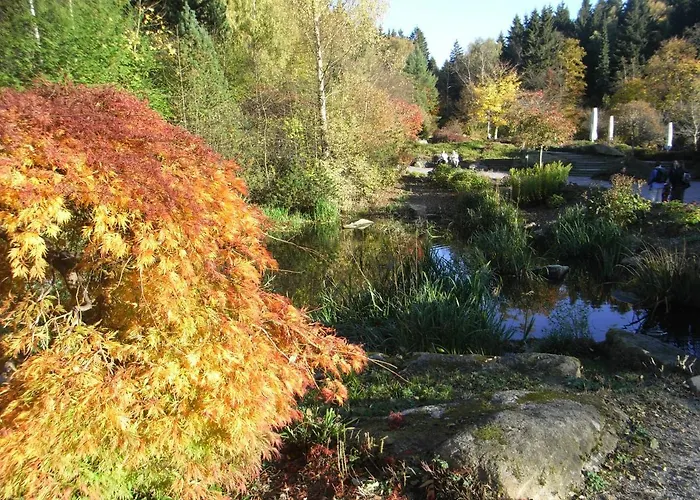 アパート An Der Bode - 2 Zi Zentral Am Marktplatz ブラウンラーゲ