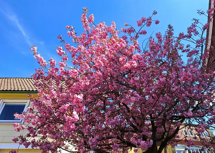 An Der Bode - 2 Zi Zentral Am Marktplatz アパート