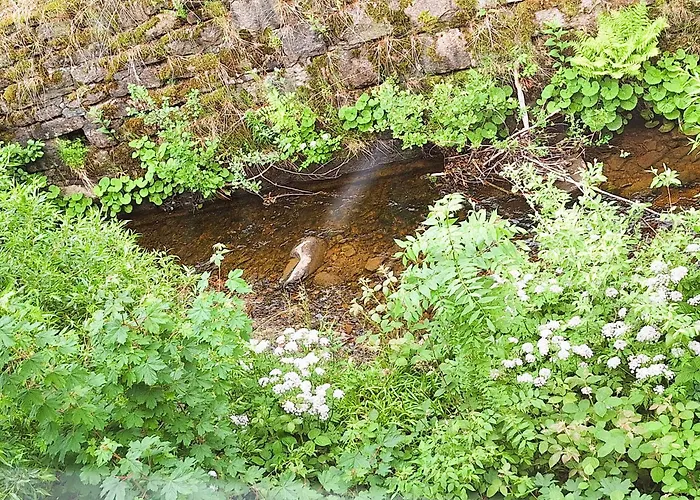 An Der Bode - 2 Zi Zentral Am Marktplatz